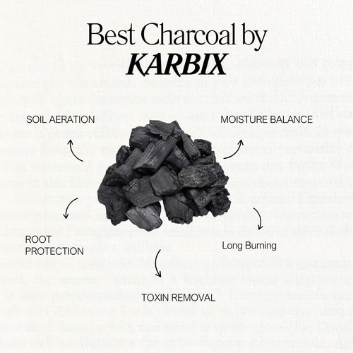 Karbix Natural Wood Charcoal Cooking Coal for Smoking Food Barbeque-Grilling-Cooking-Broiling-Long Burning Coal for Home,Kitchen & Garden 500gm